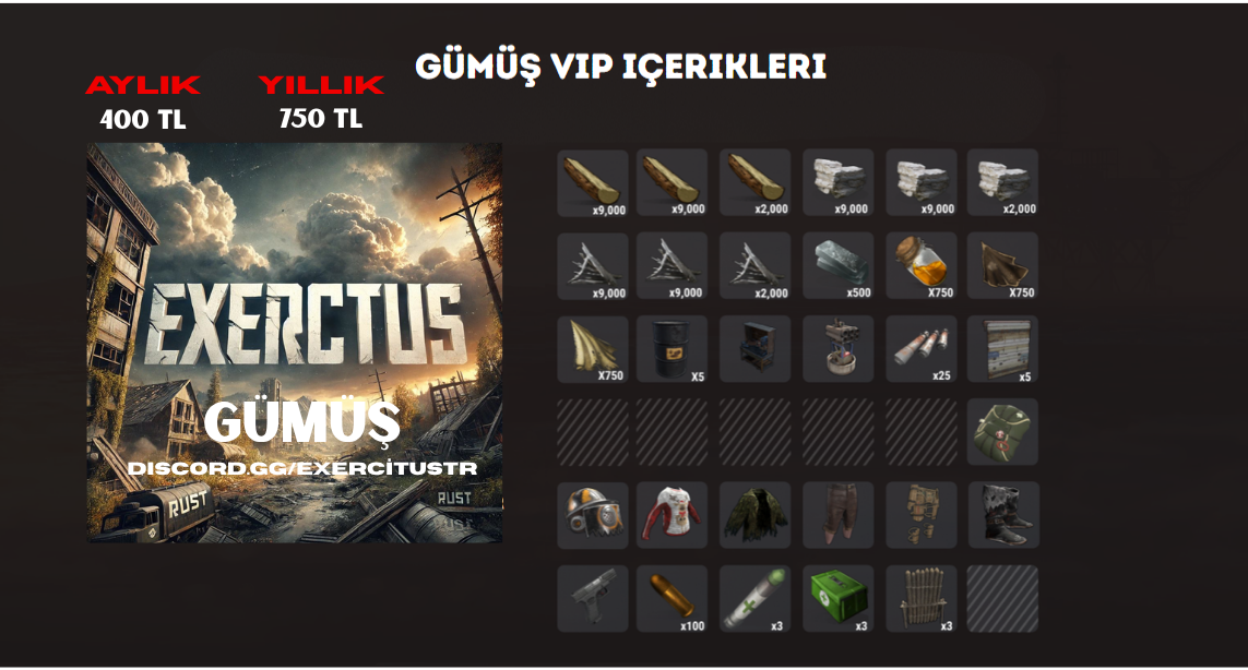 Gümüş Kit